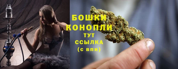 шишки Белоозёрский