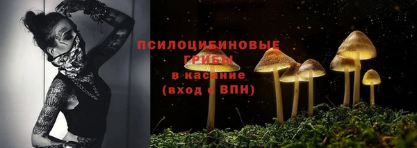 стаф Богородицк