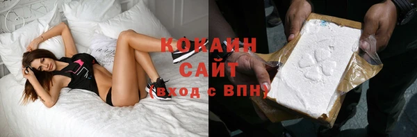 стаф Богородицк