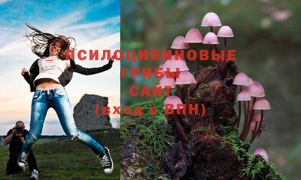 стаф Богородицк