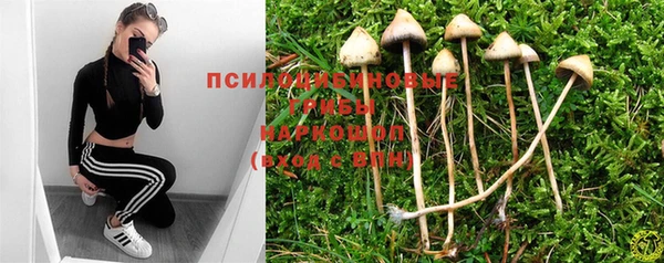 шишки Белоозёрский