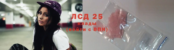 шишки Белоозёрский