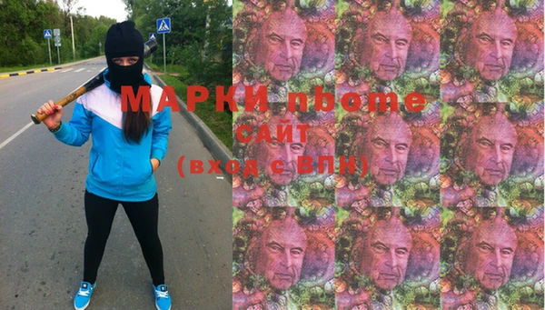 шишки Белоозёрский
