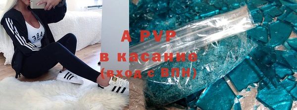 стаф Богородицк